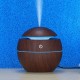 Cool Mist Humidifier Air Purifier with LED light