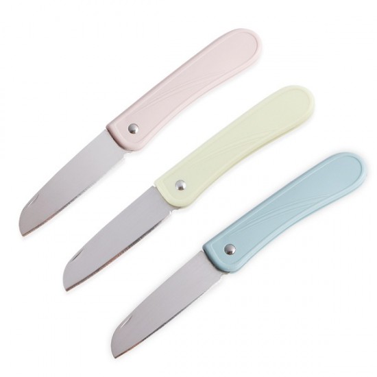 stainless steel fruit knife