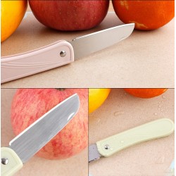 stainless steel fruit knife