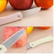 stainless steel fruit knife