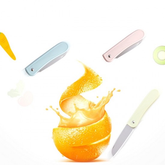 stainless steel fruit knife