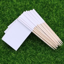 1 Pack of 100 Racing Flag Toothpicks